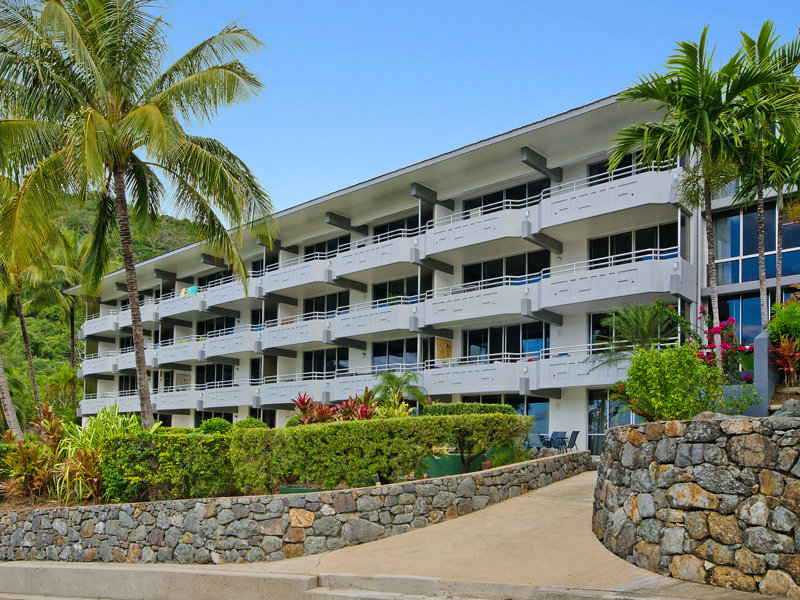 Frangipani 004